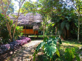 Cabañas Awana